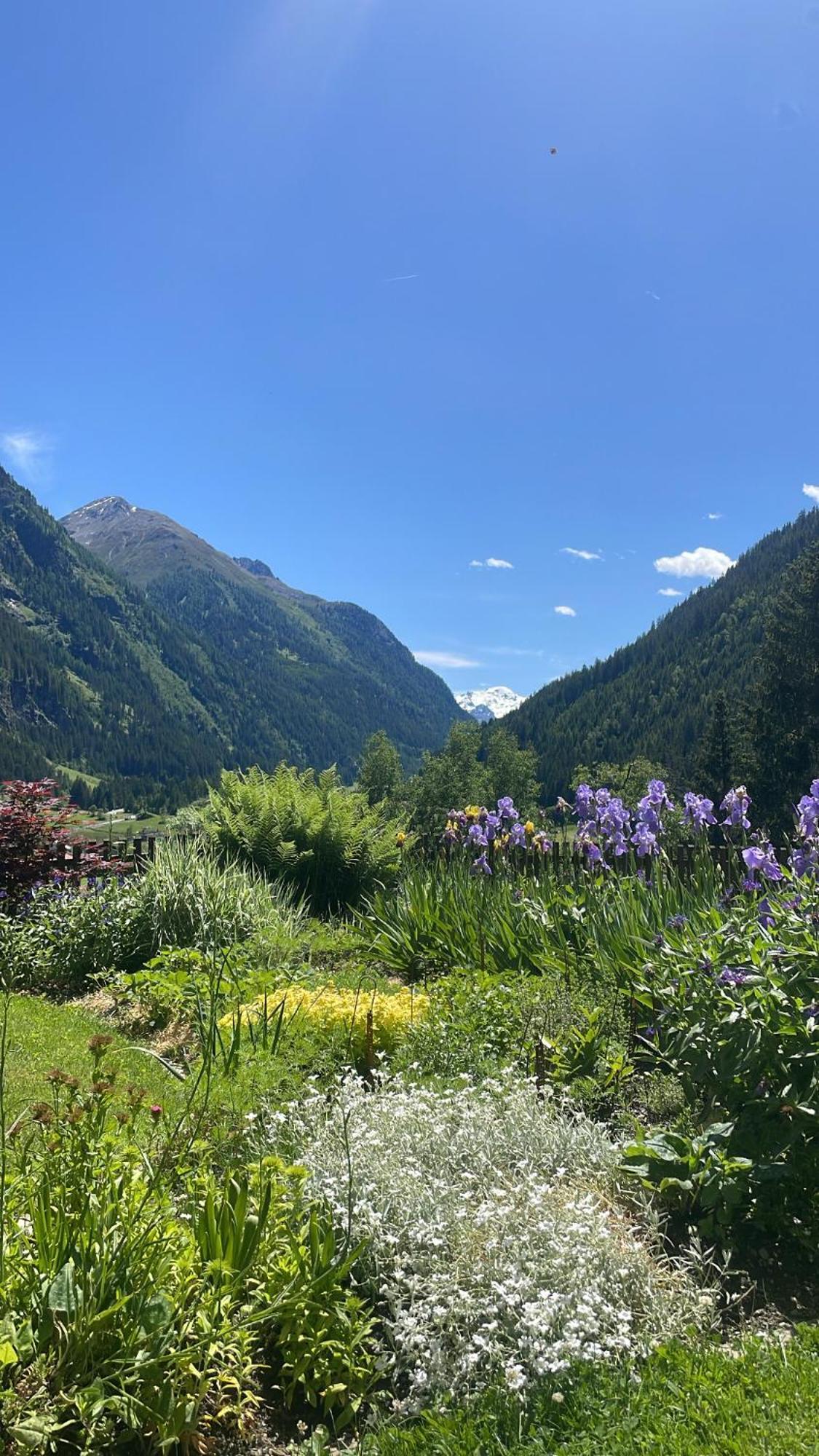 Apart Sonnenheim Kaunertal Εξωτερικό φωτογραφία