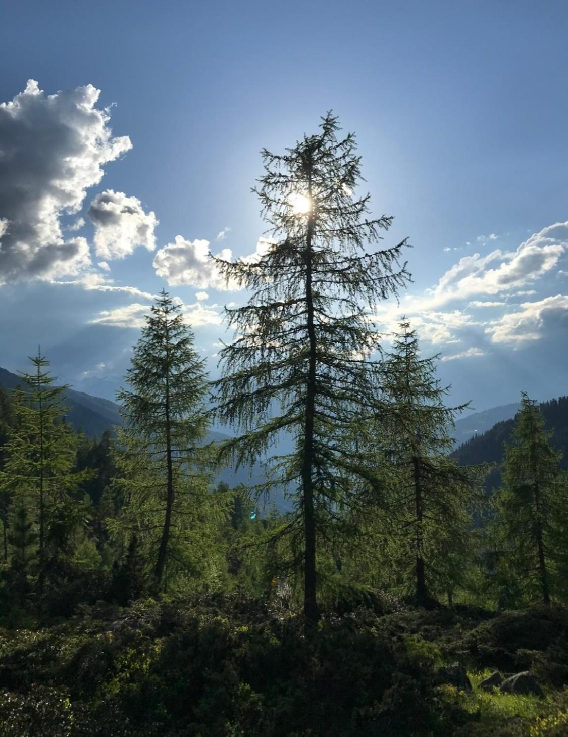 Apart Sonnenheim Kaunertal Εξωτερικό φωτογραφία